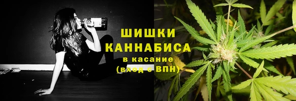 дурь Арсеньев