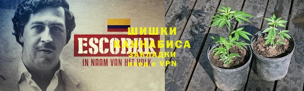 дурь Арсеньев