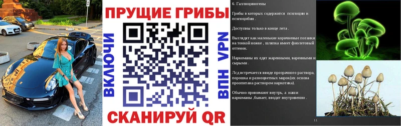 Псилоцибиновые грибы Cubensis Никольское